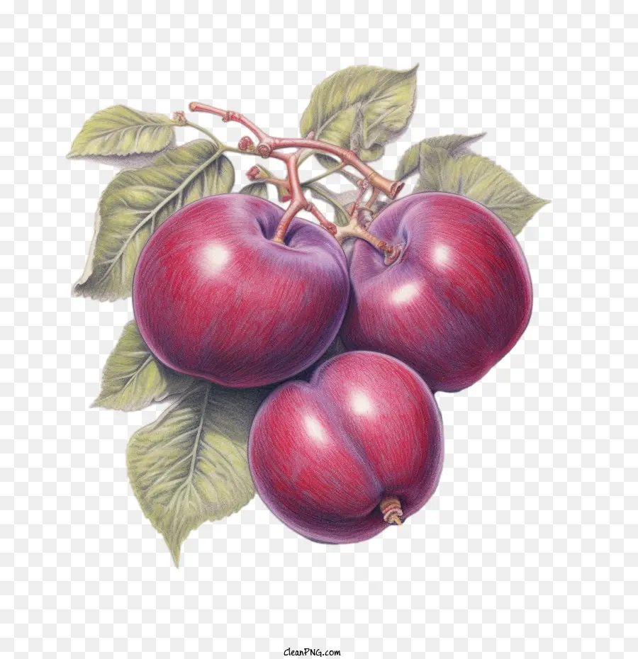 plums fruit
 plums cherries fruit red