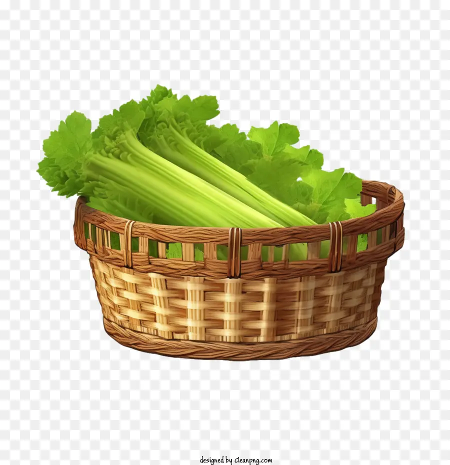 celery asparagus fresh vegetable green