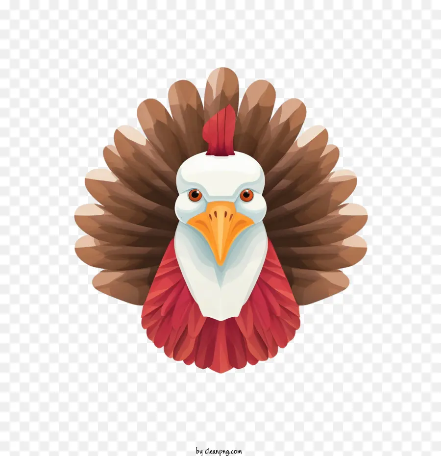 turkey turkey head bird face