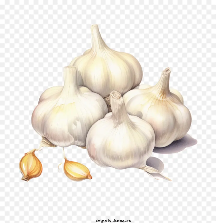 garlic garlic cloves garnish ingredients