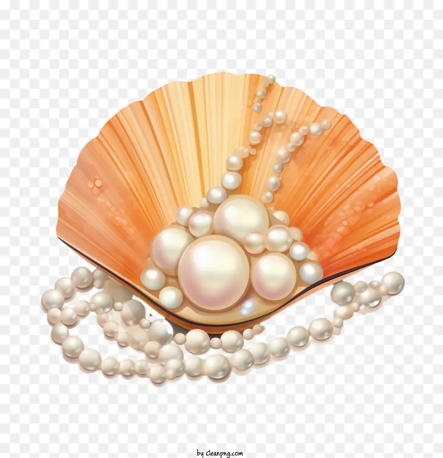 sea shell
 pearl
 seashell shell pearls