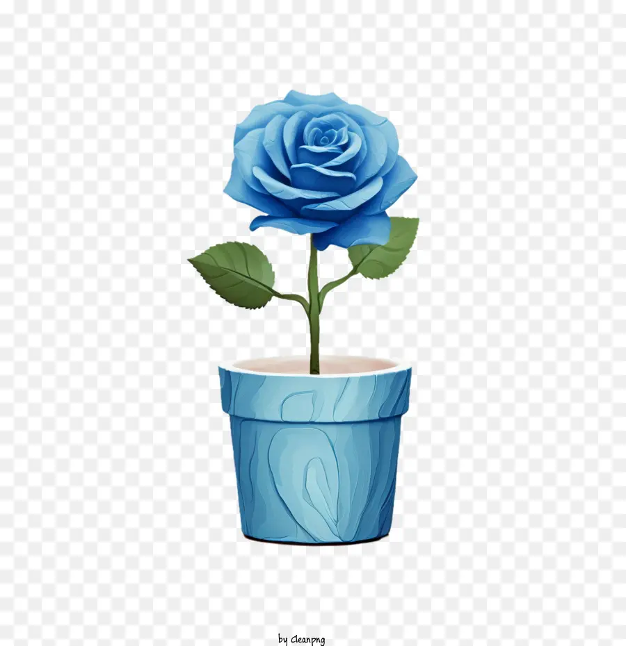 Blue Rose - 