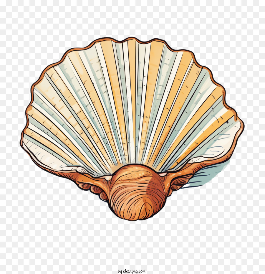 seashell scallop seafood ocean shellfish png download - 4096*4096