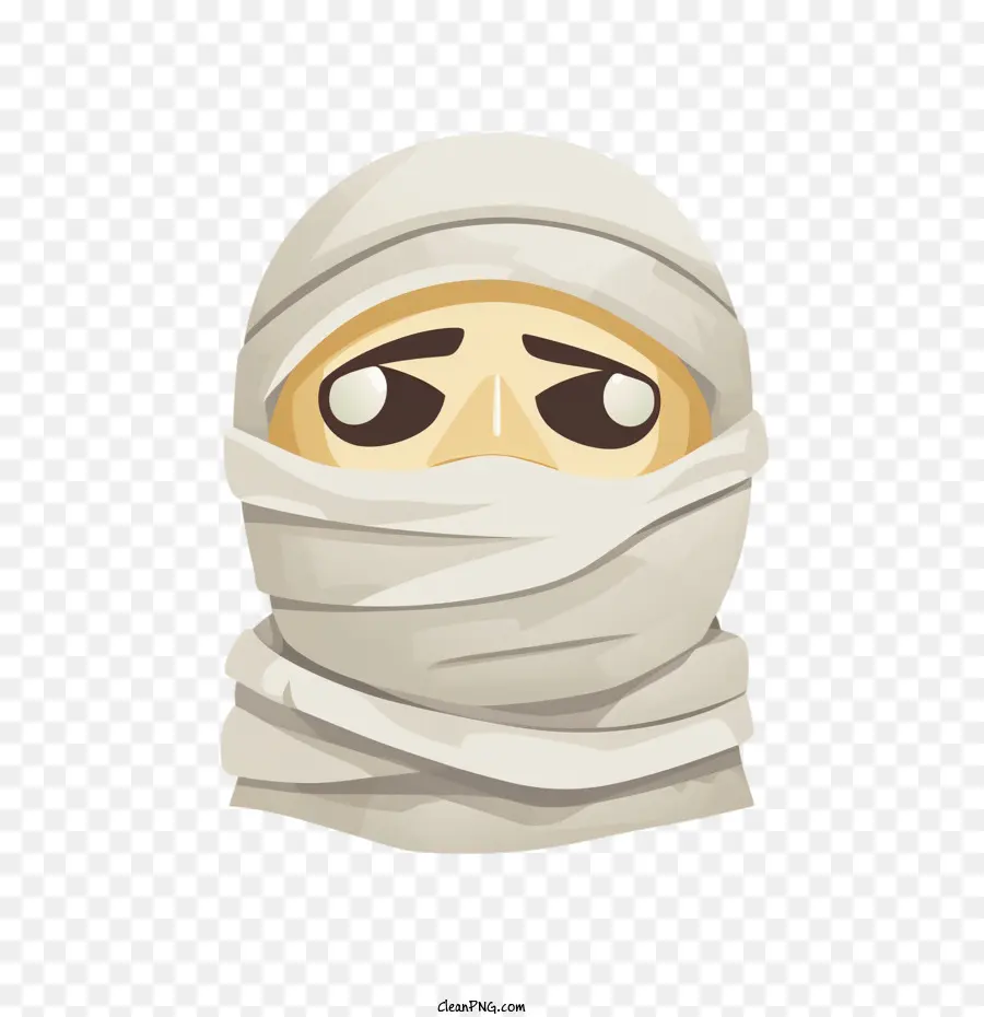 mummy stereotype headscarf veil face concealment