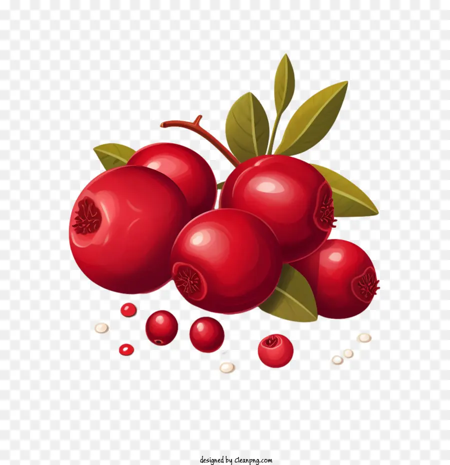 Cranberry Raspberry Cranberry Beeren Früchte - 