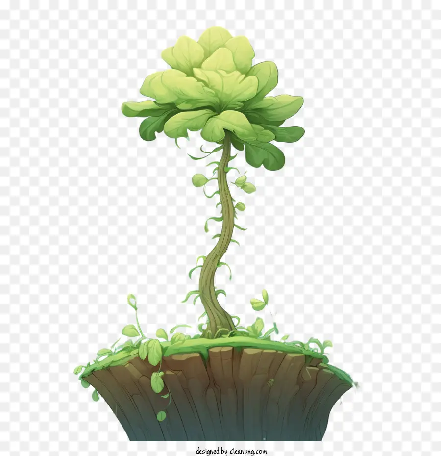 Sprouts Cây tăng trưởng để lại cành rễ - 