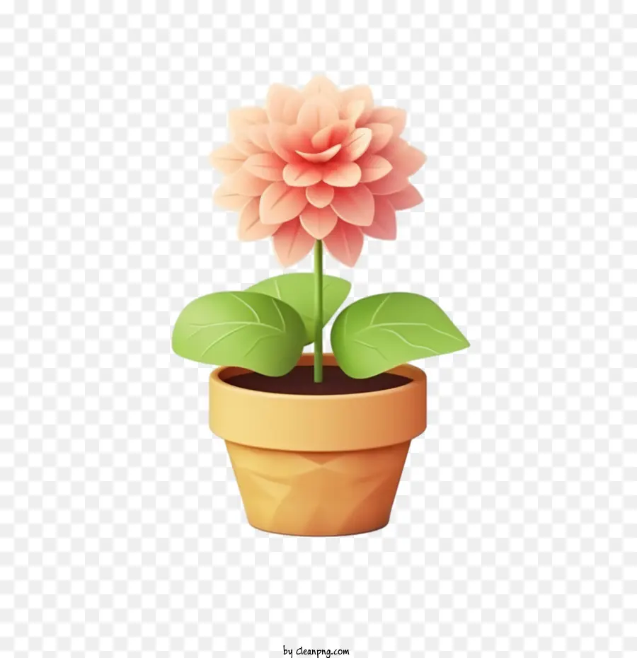 pianta in vaso da fiore da fiori da fiore dahlia - 