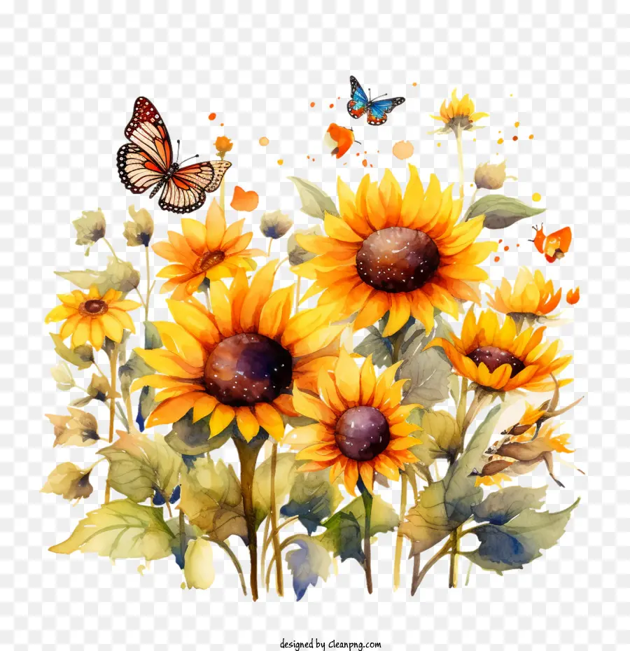 National Sunflower Day Sonnenblumen Schmetterlinge florale Natur - 