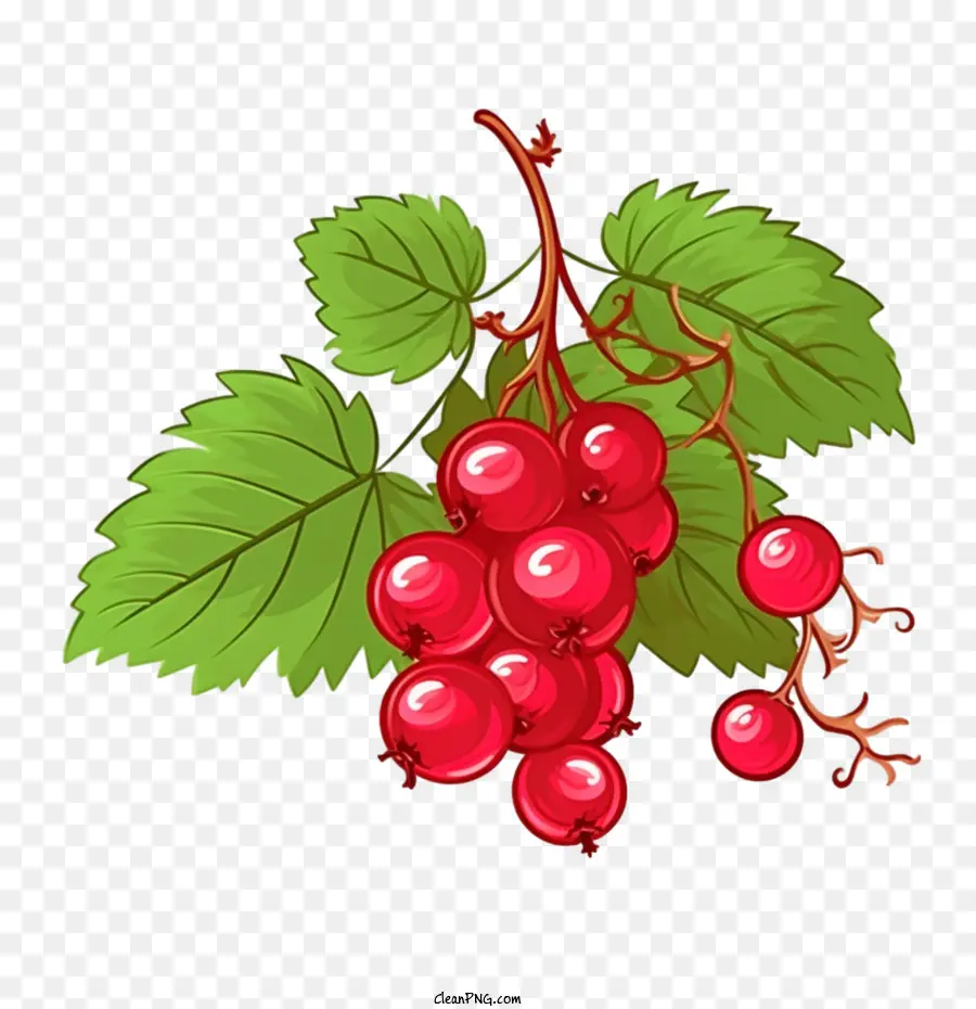 wild berry
 cranberries image content: apple red berries