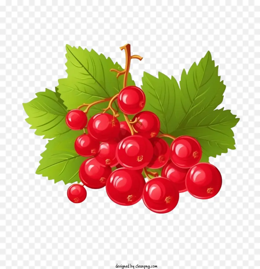 wild berry
 cranberries ripe juicy juicy red raspberries