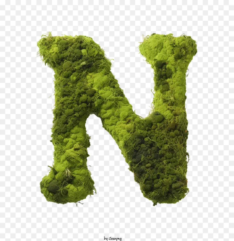 letter n green moss plant nature