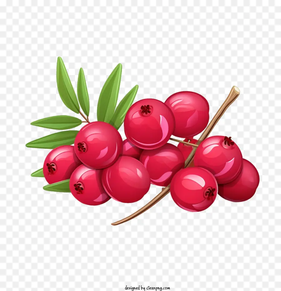 mirtilli rossi bacche rosse berries frutti - 