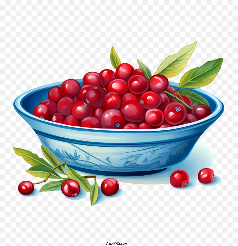 red cranberries cherries bowl fruit red