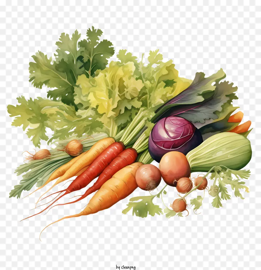 Gemüse Gemüse frisch Bio gesund - 