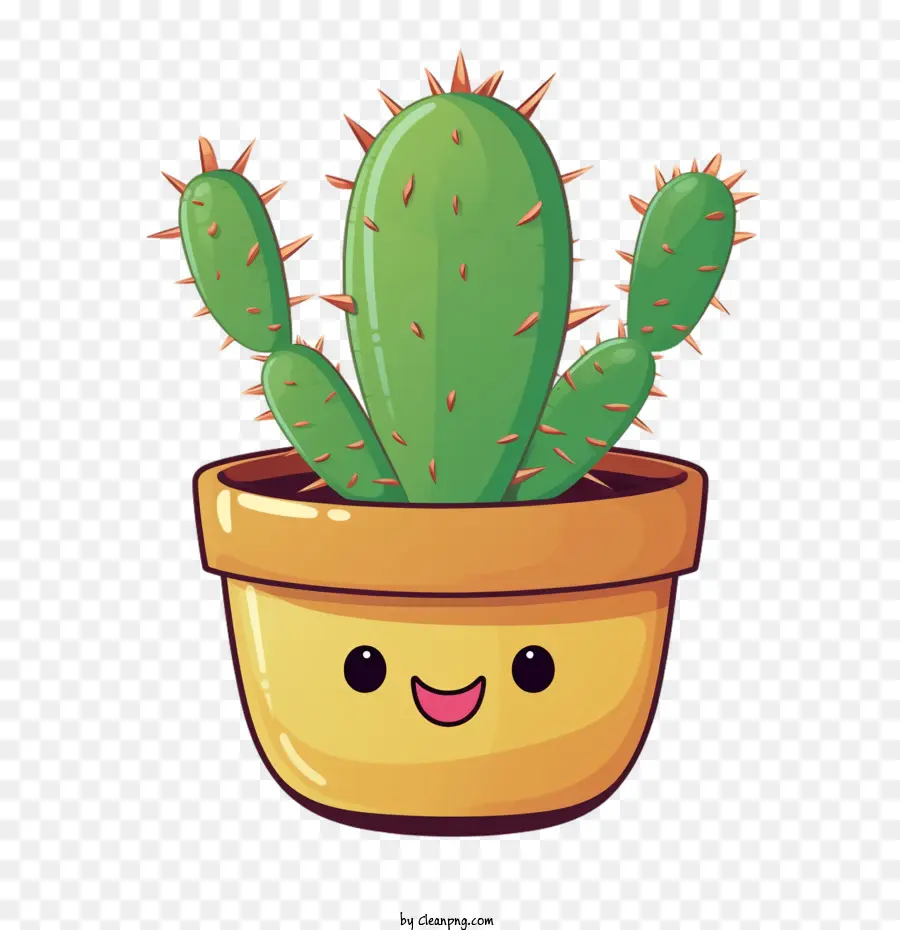 Kaktus - 