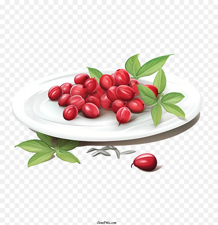 red cranberries raspberries food dish plate