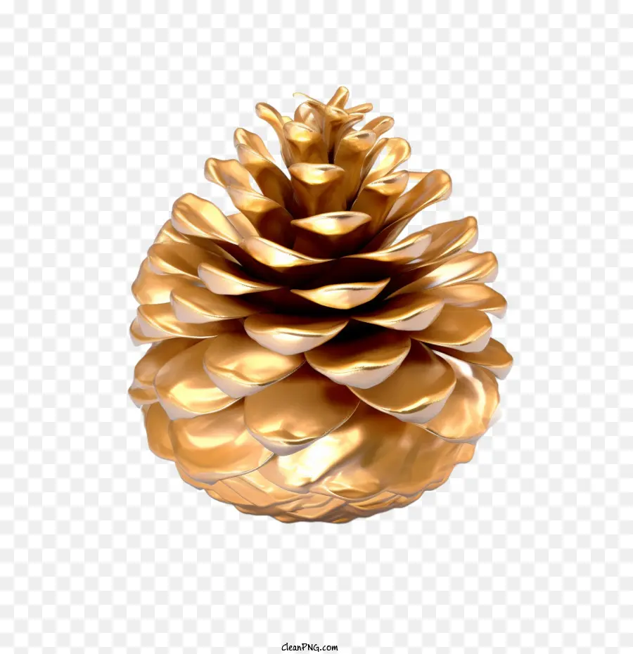 pinecone golden cone pine bark