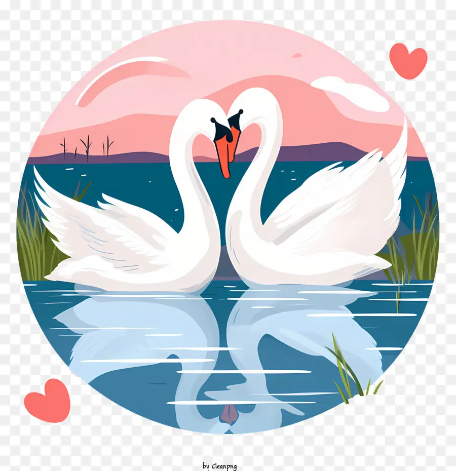 Swan Love Swans Lake Sunset - 