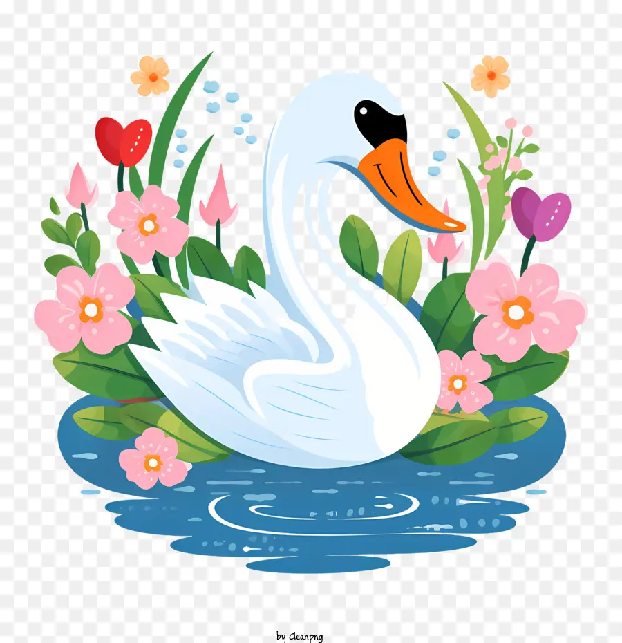 swan swan water nature beauty