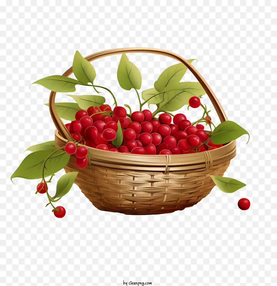 red cranberries raspberry basket berries fruits