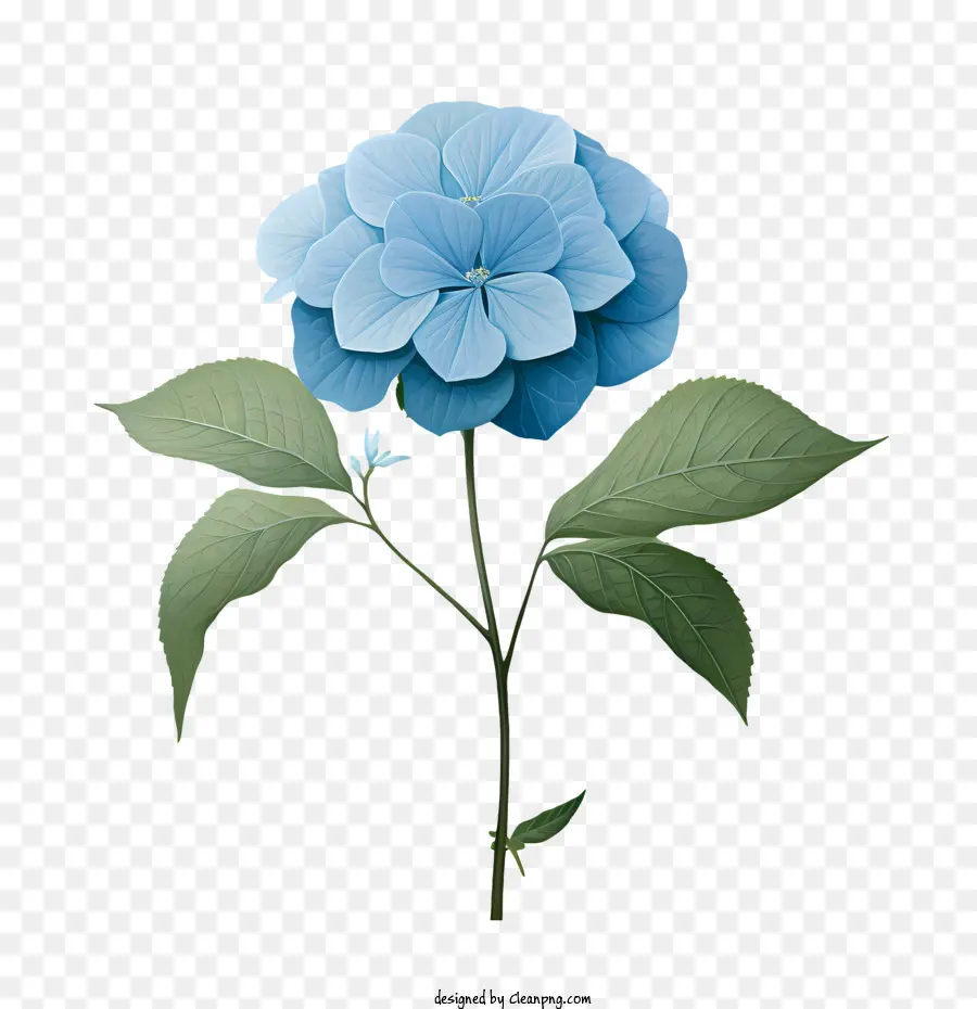 fiore blu - 