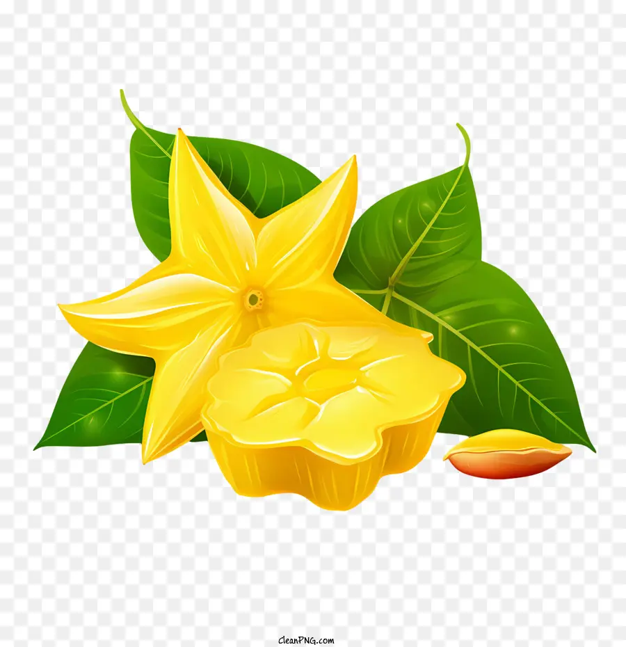 gelbe Blume - 