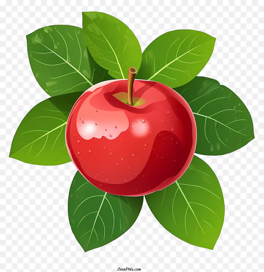 Mangia una mela rossa di mela frutta rossa matura - 