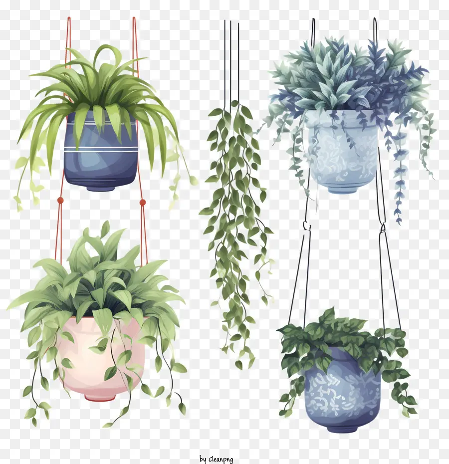 pianta sospesa con pianta in vaso in vaso pianta appesa Greenery Vertical Garden - 
