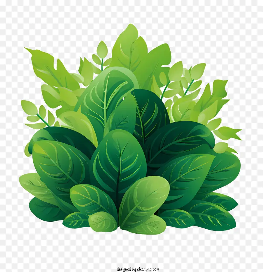 pianta verde pianta foglie verdi fogliame - 