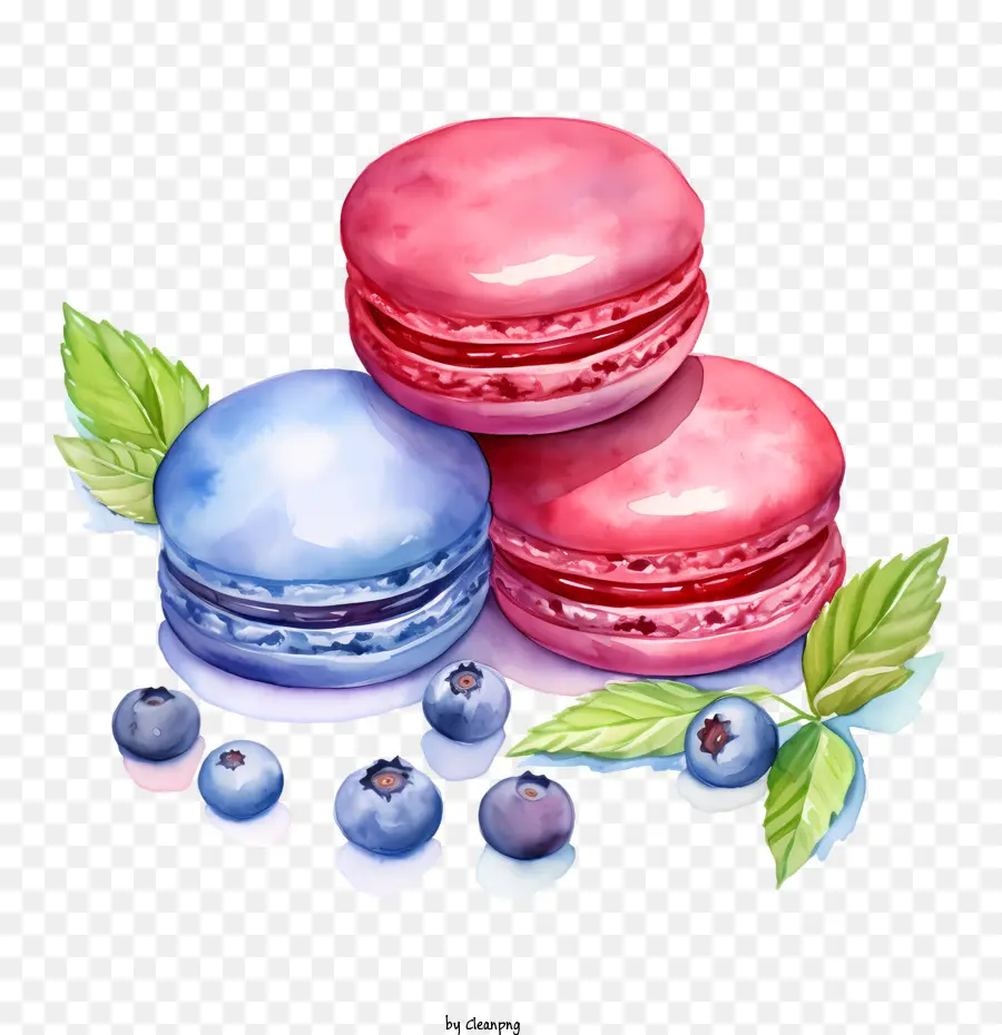 macaroon day blueberries macarons pastries bakery