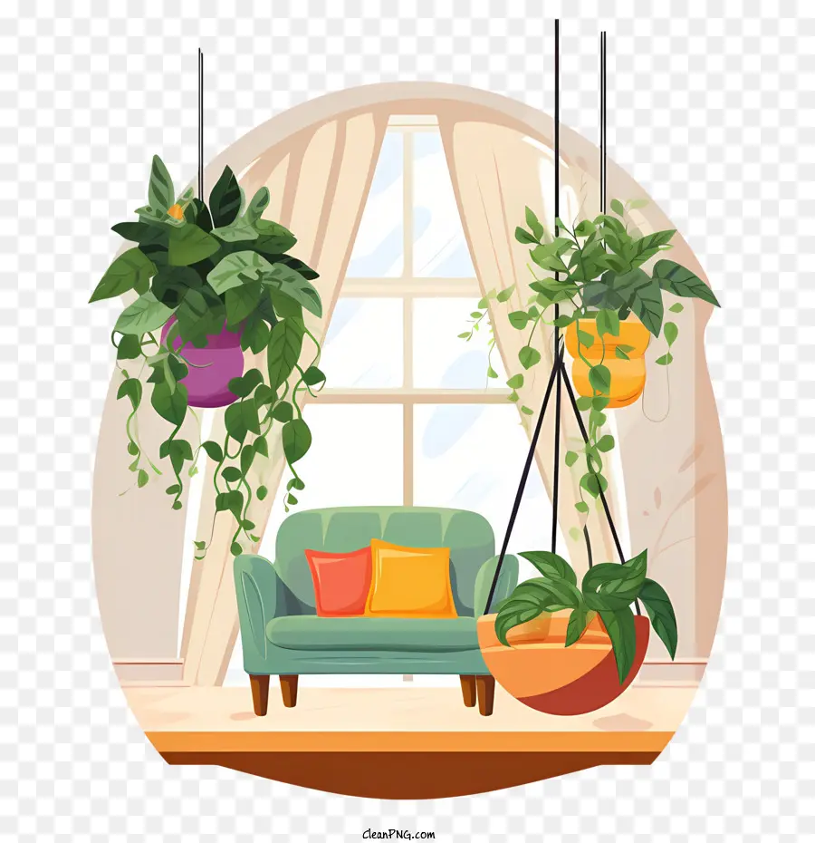 hanging plant with pot cacti succulents hanging plants living room