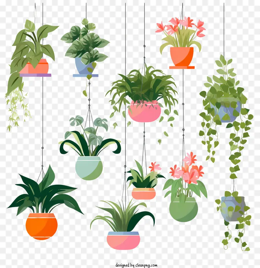 pianta sospesa con fiori di pianta in pentola piante in vaso appeso piante - 