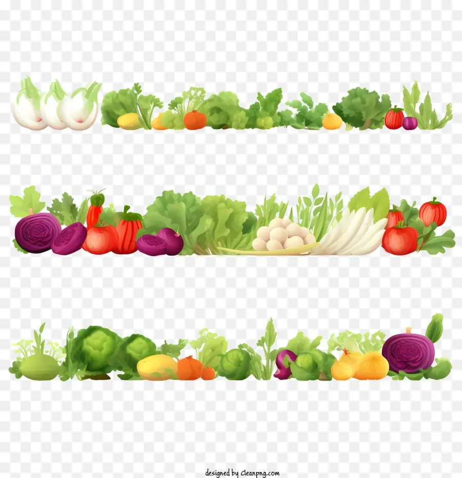world vegetarian day
 vegetable border vegetables fresh organic