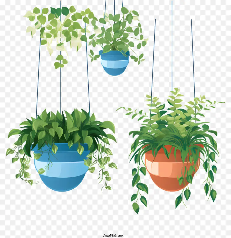 Hängende Pflanze mit Topfhängepflanzen Grün Pflanzbehälter Pflanzer - 