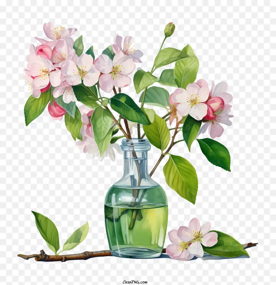 Blossom Apple Blossoms Vase WaterColor Flowers - 