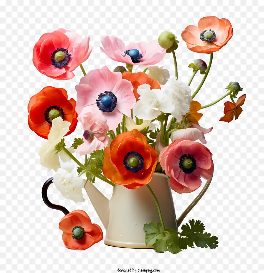 Anemone Blumenblumen Vase -Gießen von Blumen - 