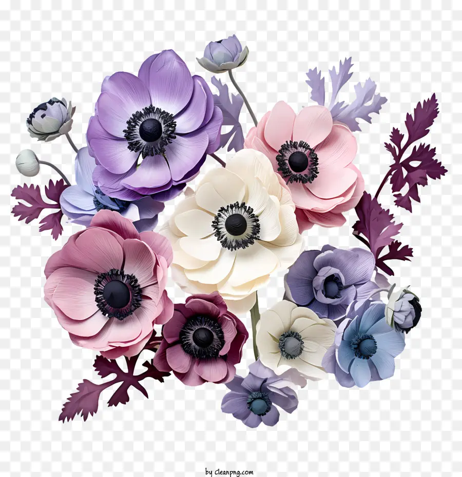 fiore di anemone con uno sfondo scuro anemoni viola bianco - 