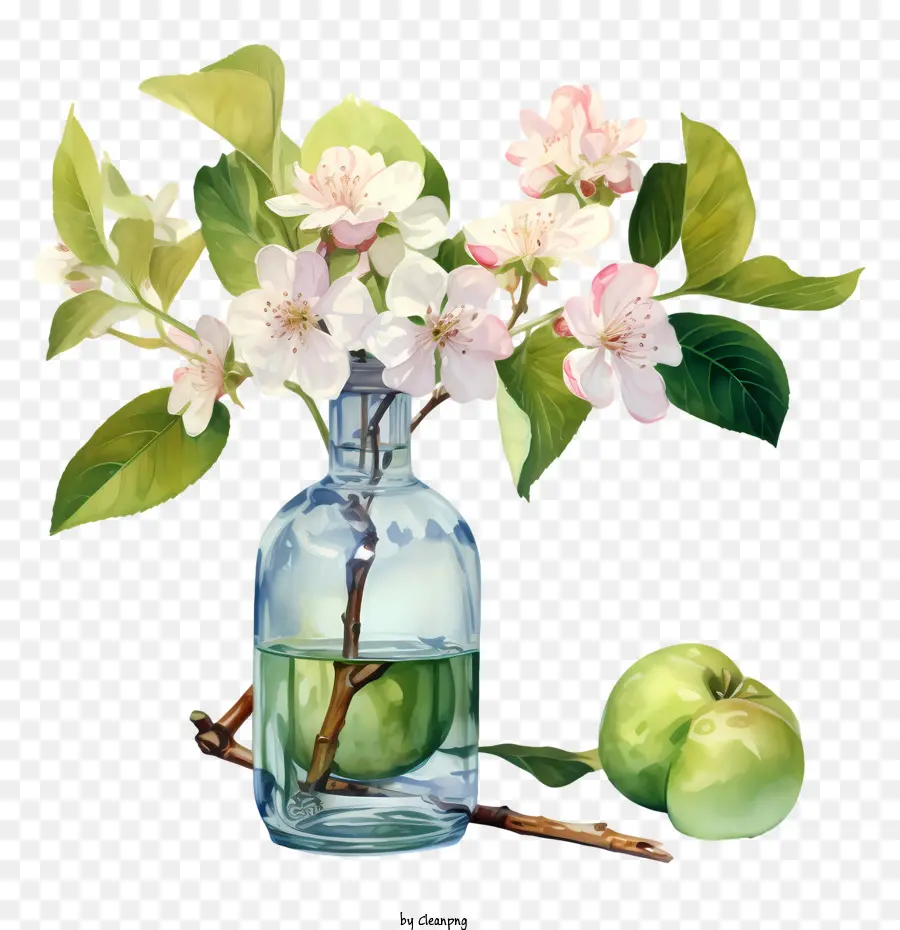 apple blossom apple flowers vase green