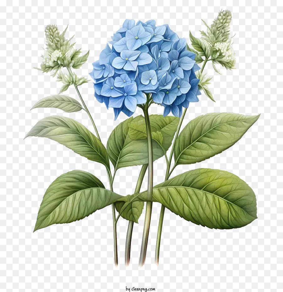 giardino floreale di acquerello blu fiore di ortensia - 