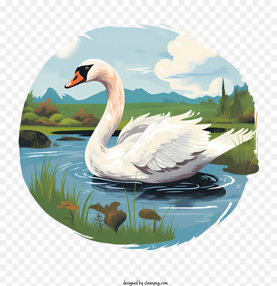 swan swan lake nature white