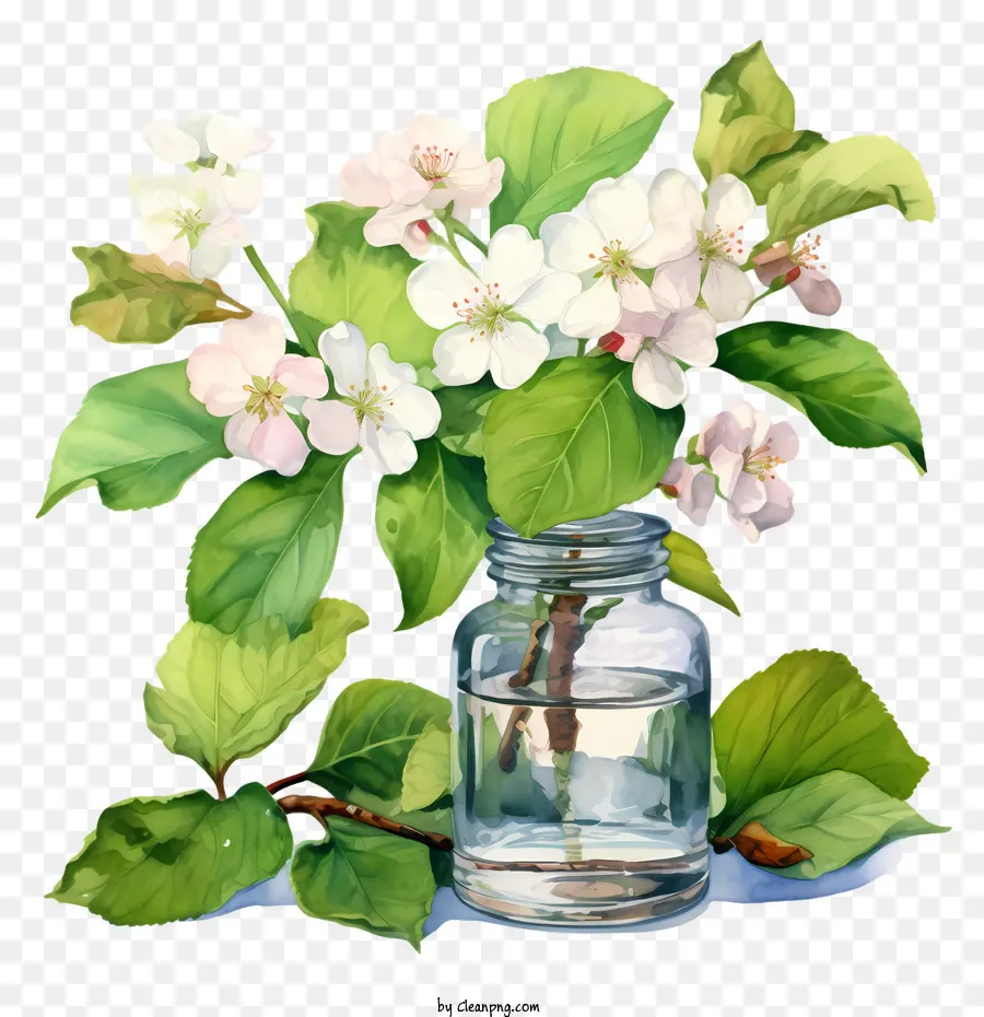 apple blossom flowers watercolor vase spring