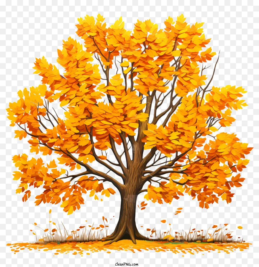 Herbst Baum - 