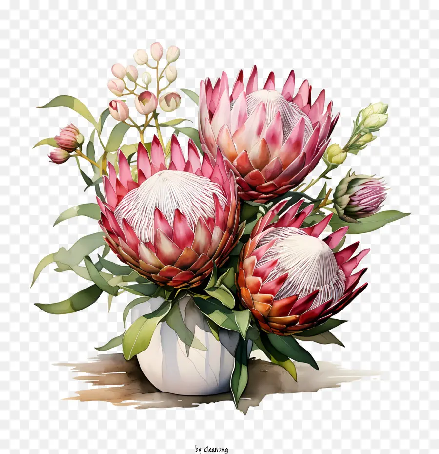 Proteasblütenblüten Vase Weiß Aquarell - 