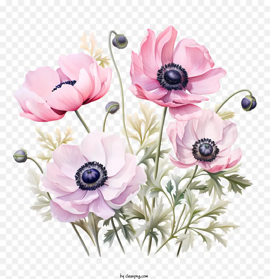Anemone Flower Pink Flowers Bouquet WaterColor - 