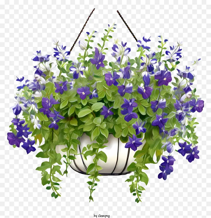 hanging plant with pot blue flowers hanging basket garden flower