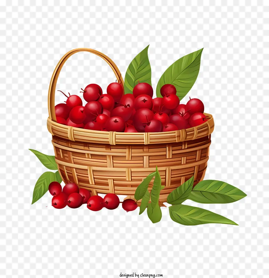 cranberries berries basket red ripe