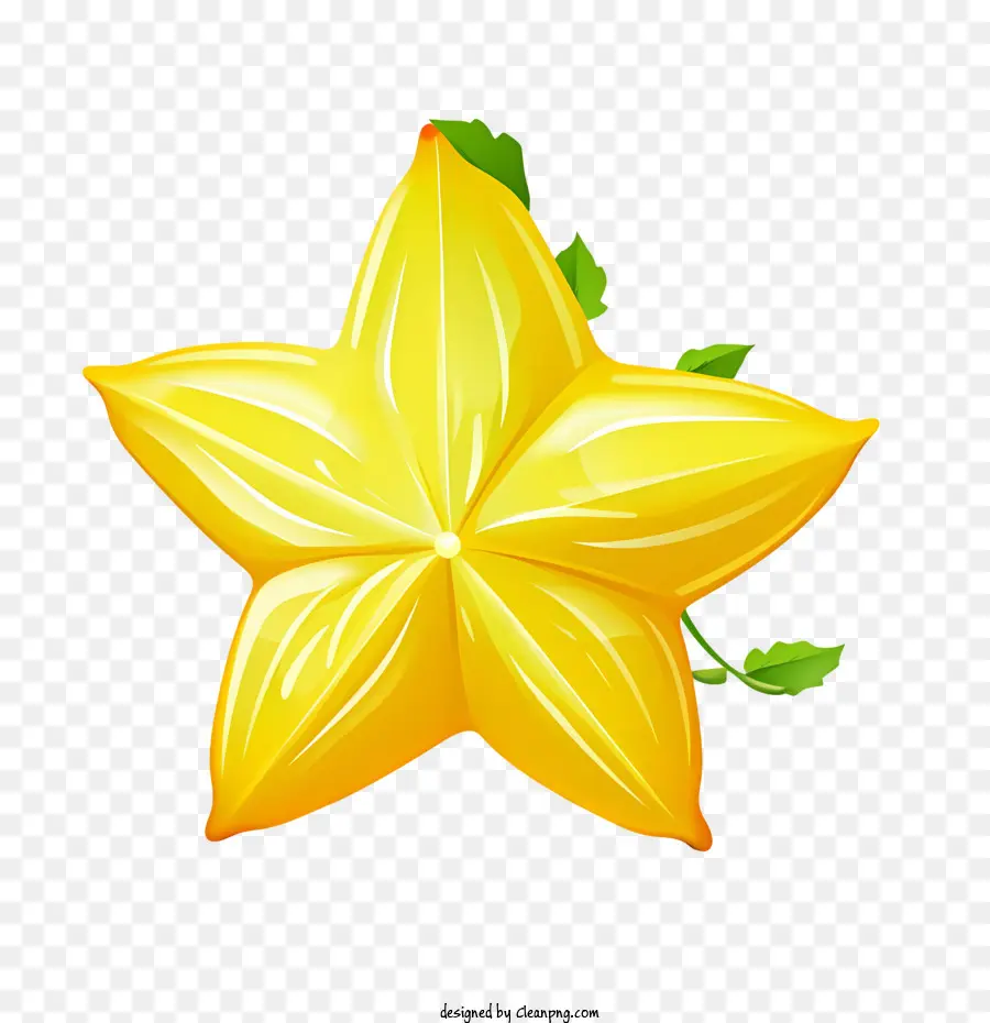 Sternenfruchtsternblume gelbe grüne Blätter - 