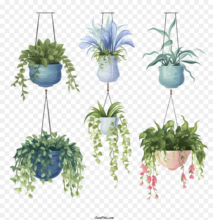 hanging plant with pot watercolor hanging plants greenery floral decor