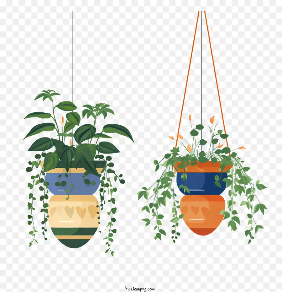 Hängende Pflanze mit Topfpflanzen, die Pflanzgefäße Grün hängen - 