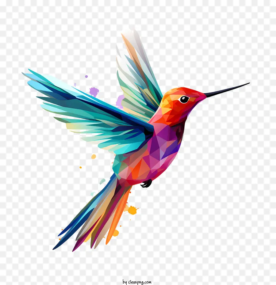 Hummingbird Day đầy màu sắc hình học Tóm tắt Tóm tắt - 